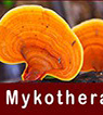Mycotherapy180x106